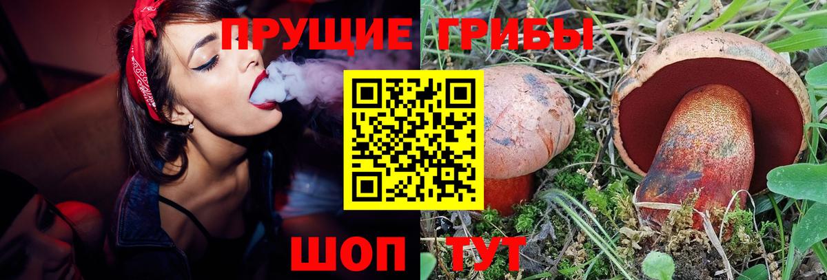 Галлюциногенные грибы ЛСД  Вход с VPN  Новомосковск 